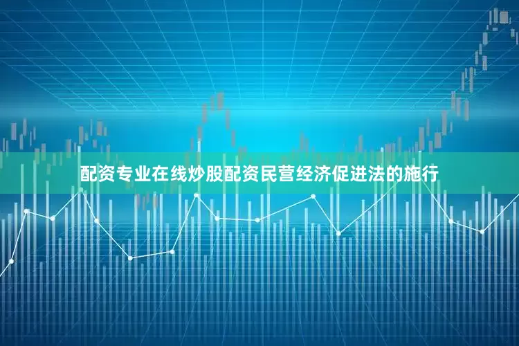 配资专业在线炒股配资民营经济促进法的施行